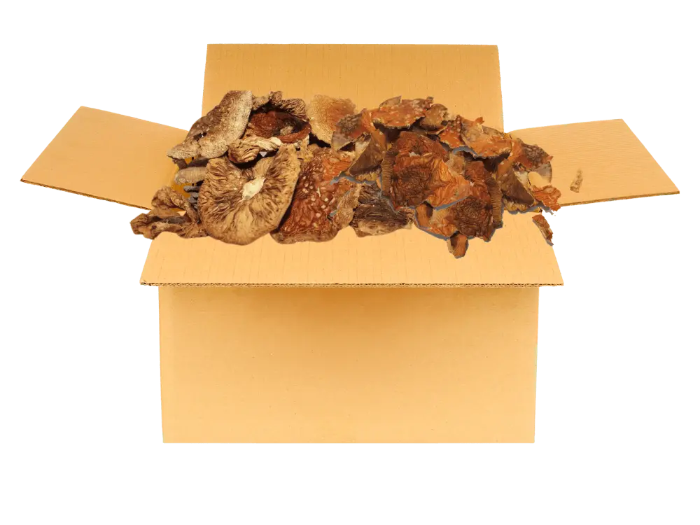 boletus-packing