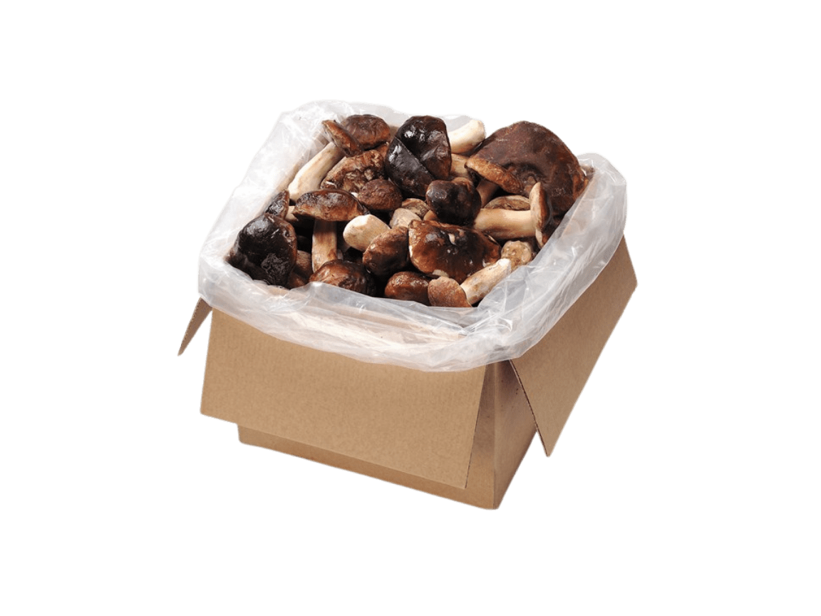boletus-packing
