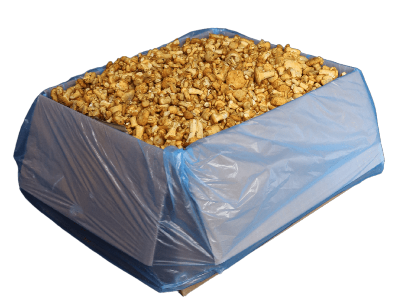 boletus-packing
