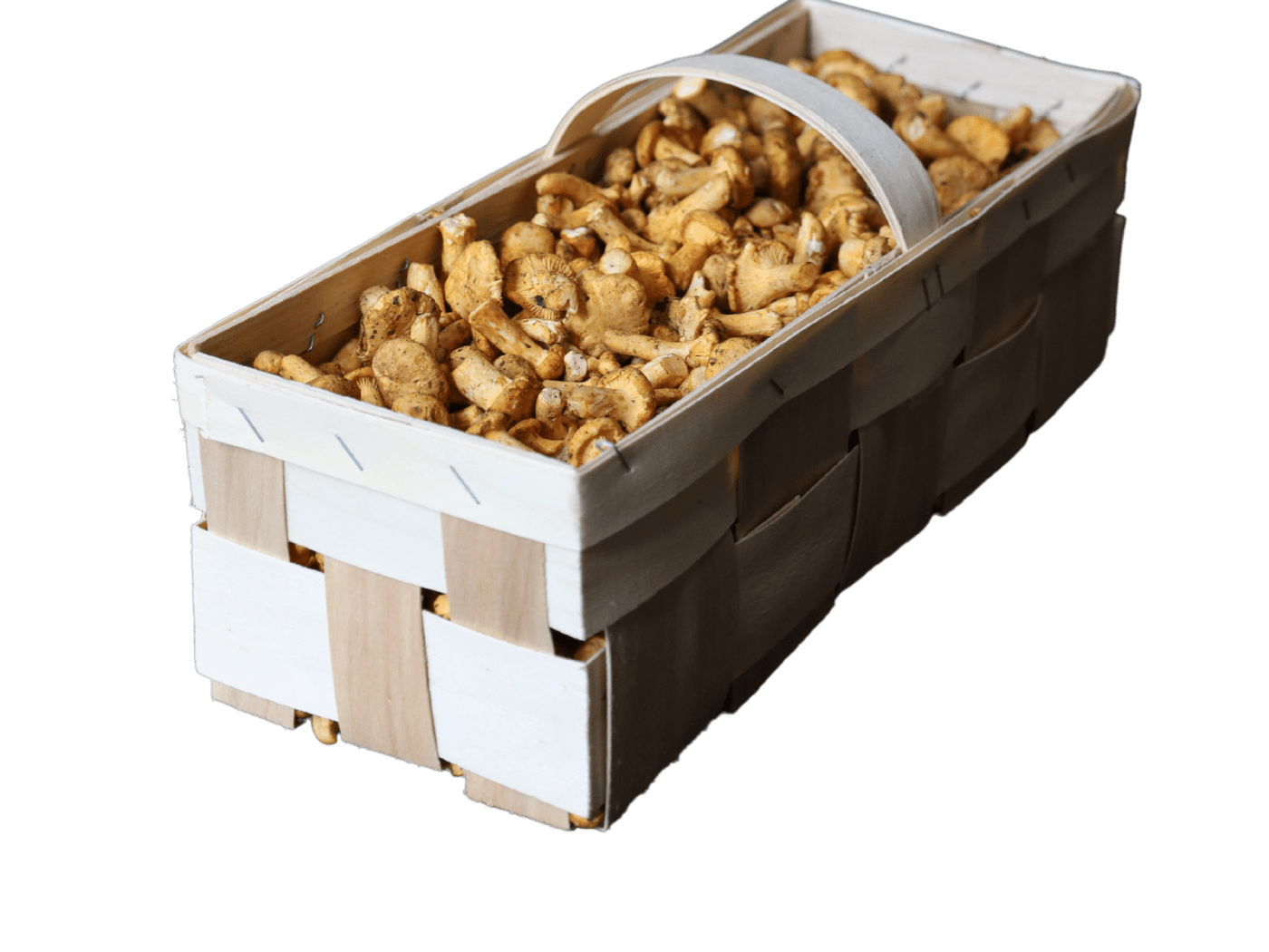 boletus-packing