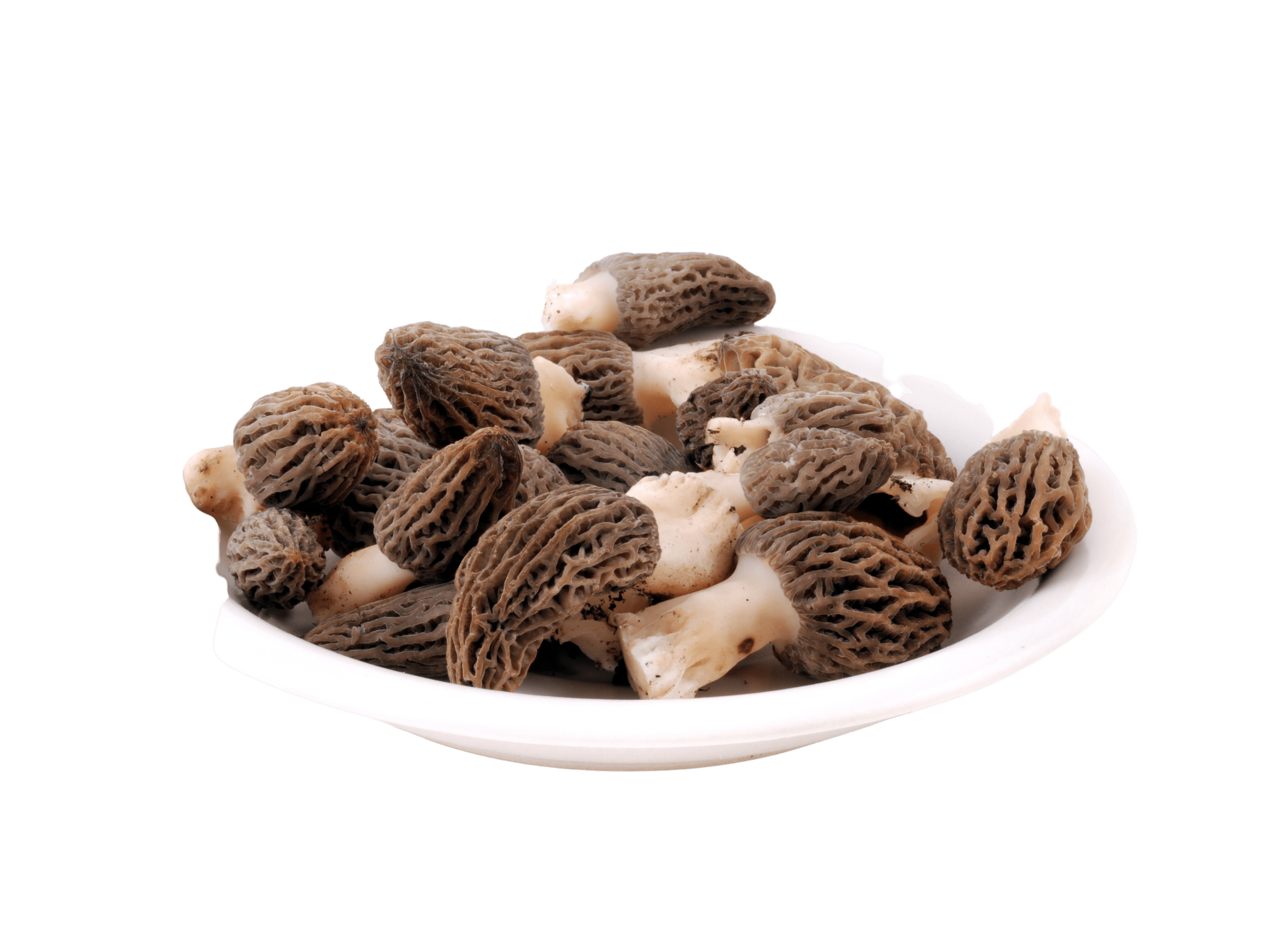 boletus-packing